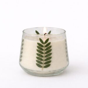 Duftkerze im Glas Rosenholz & Birke