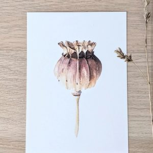 Grusskarte "Mohn"