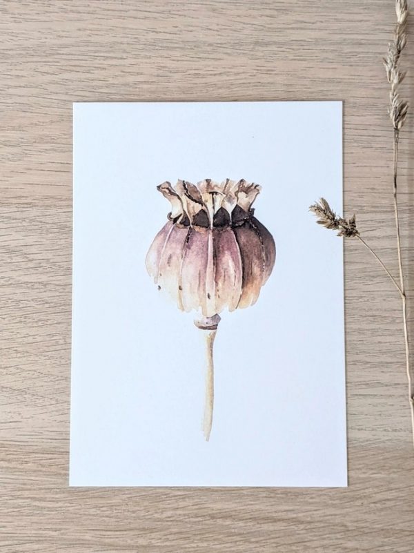 Grusskarte "Mohn"
