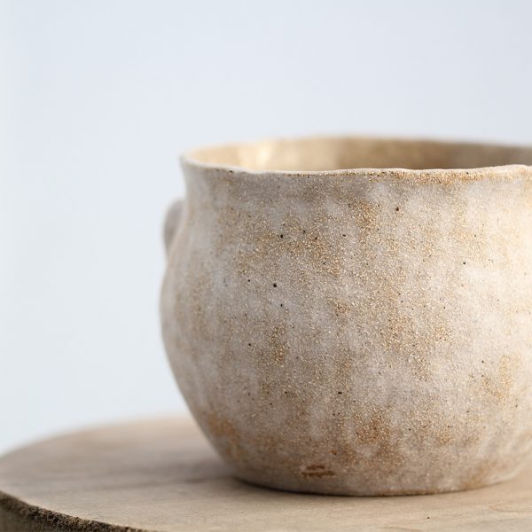 Sansevieria im Keramik «Athenia» – Bild 2