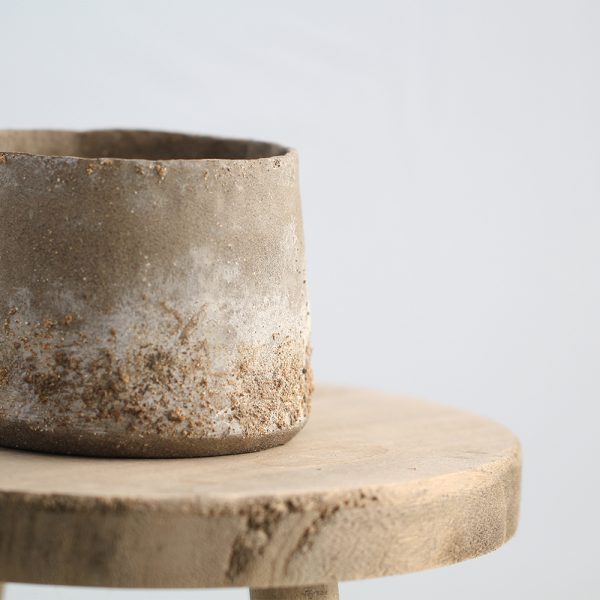 Sansevieria im Keramik «Terra» – Bild 5