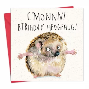 Humorvolle Geburtstagskarte Igelumarmung – lustige Karte mit Igelmotiv, ideal als Geschenk für Geburtstag und gute Laune