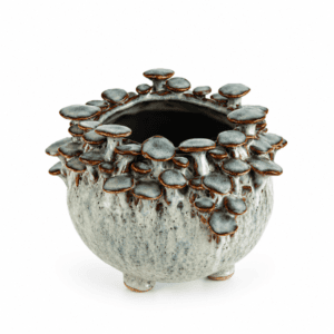 Vase Mushrooms