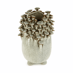 Vase Mushrooms Gross